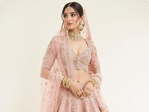For the Bride — Lehengas, gowns, sarees in Borsad